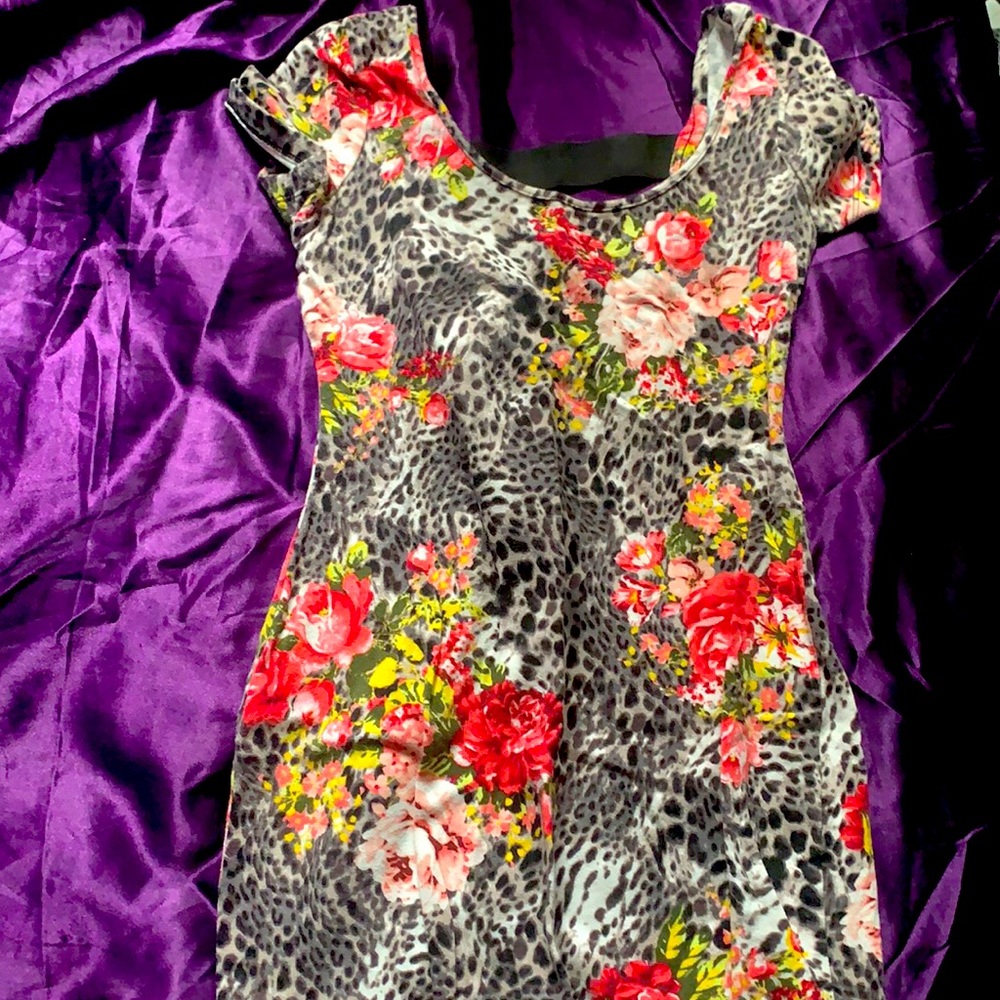 Carol Baskin Dress